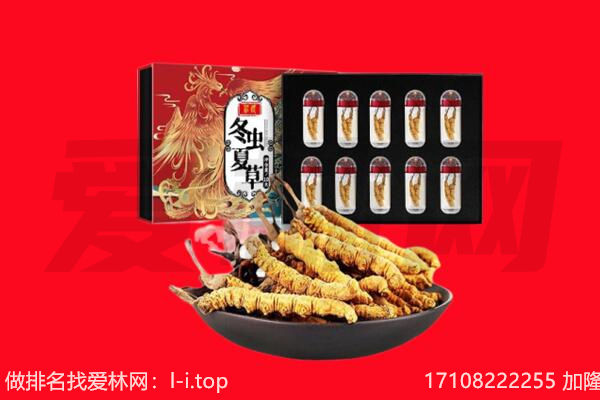 龙马潭区回收虫草.jpg